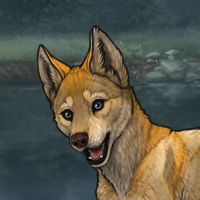 Enclave Pup Headshot