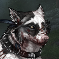 Wolf Headshot