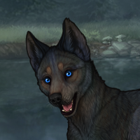 Blueschist Headshot