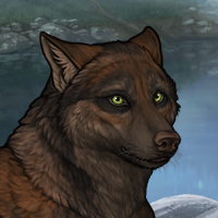 Wolf Headshot