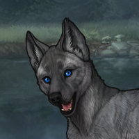 ((Pup))Fodder Headshot