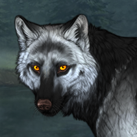 Wolf Headshot