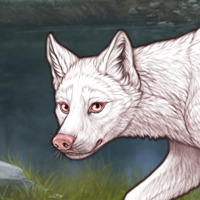 Male Albino pup keep Headshot