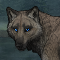 PRETTY WOLF! T8! Headshot