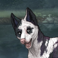 M- Torn Piebald Headshot