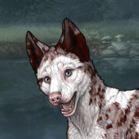 Piebald Headshot