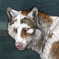 4: Asiri - Piebald Headshot