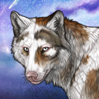 1: Asiri - Piebald Headshot