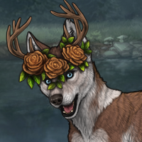 ☾Fawn☾ Headshot