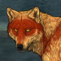 Wolf Headshot