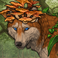 Wolf Headshot