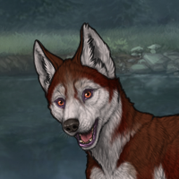 6m6r g2 husky Headshot