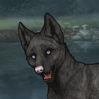 Sell Husky Eyes G3 Headshot