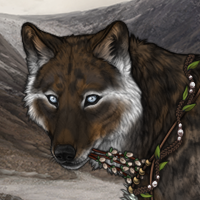 Wolf Headshot