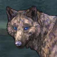 Jagoda Headshot