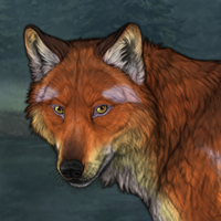 Fox female sell Headshot