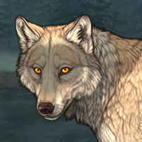 Wolf Headshot