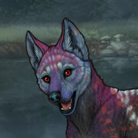 Onyx Moonbow Headshot