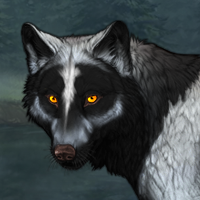 Wolf Headshot