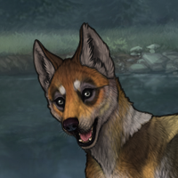 Thornpup Headshot