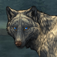 Wolf Headshot