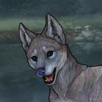 New Puppy - Megalodon! Headshot