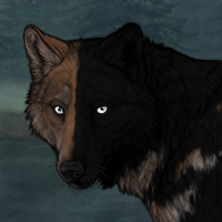 𝒯𝓇𝓊ℯ Headshot