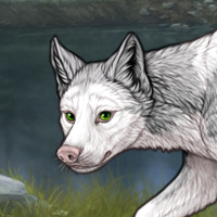 Piebald Headshot