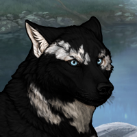 Aengus Headshot