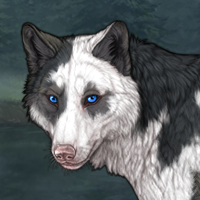 Jester | Piebald: Torn Headshot