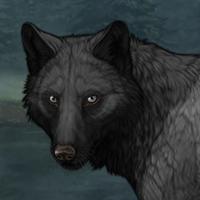 Wolf Headshot