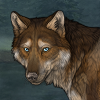 Cedarbark Headshot