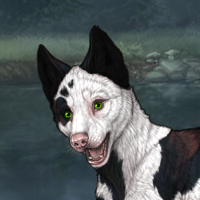 New Puppy piebald dip Headshot