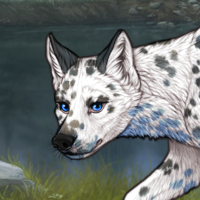 G2 T2 Dalmatian Headshot