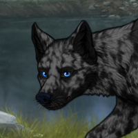 Snowflake Obsidian Headshot