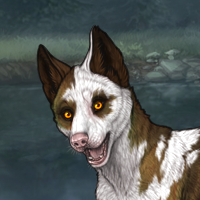 PIEBALD ENCLAVE PUP? Headshot