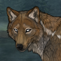 🐾 Marshfeather Headshot
