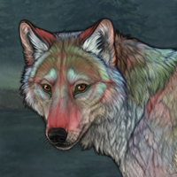 Pretty Wolf with Pups Headshot
