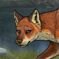 t3 fox Headshot