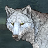 Wolf Headshot