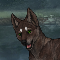 Enclave Pup Headshot