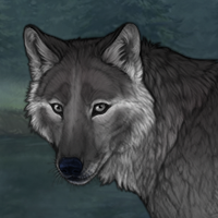 Brye Headshot