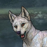 Enclave Pup Headshot