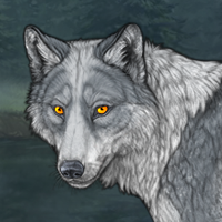 🔹JayFeather🔹 Headshot