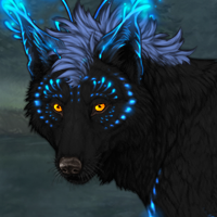 Wolf Headshot