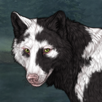 PIEBALD UNEVEN Headshot