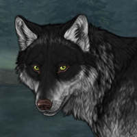 Wolf Headshot