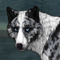 Bluefur Headshot