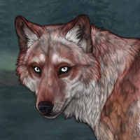 Val Headshot