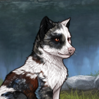 Piebald Headshot